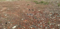 奉贤区43亩独门独院工业土地适合各种堆放停车
